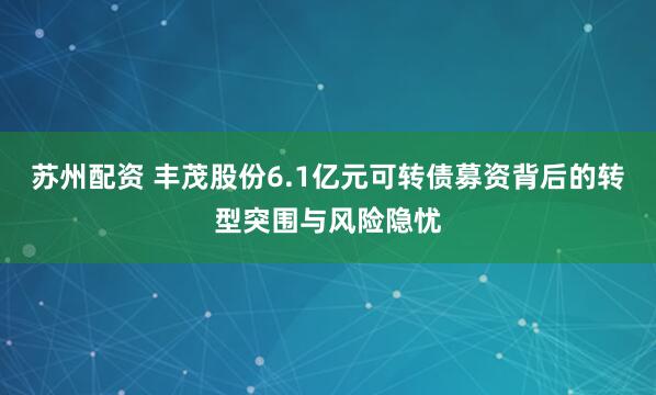 苏州配资 丰茂股份6.1亿元可转债募资背后的转型突围与风险隐忧