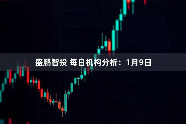 盛鹏智投 每日机构分析:1月9日