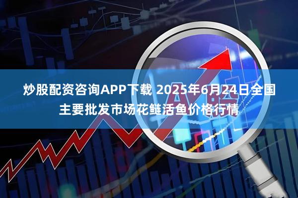 炒股配资咨询APP下载 2025年6月24日全国主要批发市场花鲢活鱼价格行情