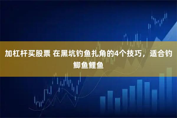 加杠杆买股票 在黑坑钓鱼扎角的4个技巧，适合钓鲫鱼鲤鱼
