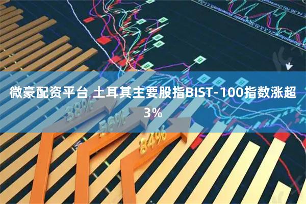 微豪配资平台 土耳其主要股指BIST-100指数涨超3%